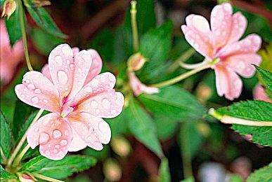 《边界之外》已登陆Steam平台 7月在NS平台上市